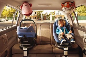 baza-family-fix_6001
